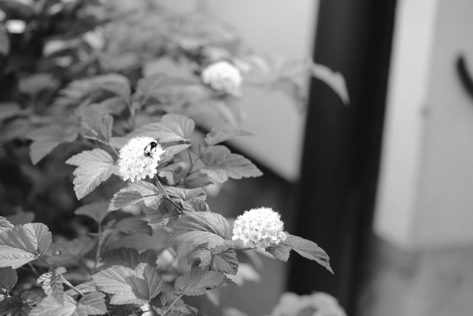 Finished flower arrangement ready for delivery