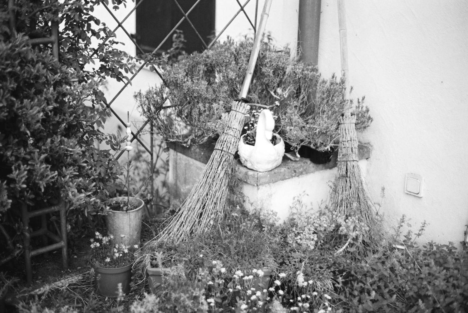 Wedding celebration flower arrangements with seasonal blooms